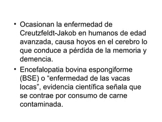 • Ocasionan la enfermedad de
Creutzfeldt-Jakob en humanos de edad
avanzada, causa hoyos en el cerebro lo
que conduce a pérdida de la memoria y
demencia.
• Encefalopatia bovina espongiforme
(BSE) o “enfermedad de las vacas
locas”, evidencia científica señala que
se contrae por consumo de carne
contaminada.
 