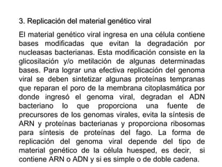 3. Replicación del material genético viral3. Replicación del material genético viral
El material genético viral ingresa en una célula contiene
bases modificadas que evitan la degradación por
nucleasas bacterianas. Esta modificación consiste en la
glicosilación y/o metilación de algunas determinadas
bases. Para lograr una efectiva replicación del genoma
viral se deben sintetizar algunas proteínas tempranas
que reparan el poro de la membrana citoplasmática por
donde ingresó el genoma viral, degradan el ADN
bacteriano lo que proporciona una fuente de
precursores de los genomas virales, evita la síntesis de
ARN y proteínas bacterianas y proporciona ribosomas
para síntesis de proteínas del fago. La forma de
replicación del genoma viral depende del tipo de
material genético de la célula huesped, es decir, si
contiene ARN o ADN y si es simple o de doble cadena.
 