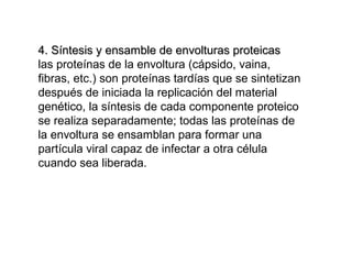 4. Síntesis y ensamble de envolturas proteicas4. Síntesis y ensamble de envolturas proteicas
las proteínas de la envoltura (cápsido, vaina,
fibras, etc.) son proteínas tardías que se sintetizan
después de iniciada la replicación del material
genético, la síntesis de cada componente proteico
se realiza separadamente; todas las proteínas de
la envoltura se ensamblan para formar una
partícula viral capaz de infectar a otra célula
cuando sea liberada.
 