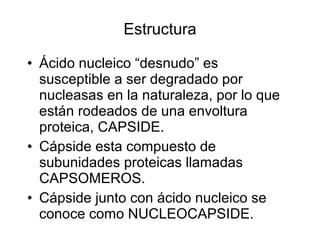 • Ácido nucleico “desnudo” es
susceptible a ser degradado por
nucleasas en la naturaleza, por lo que
están rodeados de una envoltura
proteica, CAPSIDE.
• Cápside esta compuesto de
subunidades proteicas llamadas
CAPSOMEROS.
• Cápside junto con ácido nucleico se
conoce como NUCLEOCAPSIDE.
Estructura
 