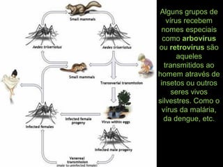 Alguns grupos de
vírus recebem
nomes especiais
como arbovírus
ou retrovírus são
aqueles
transmitidos ao
homem através de
insetos ou outros
seres vivos
silvestres. Como o
vírus da malária,
da dengue, etc.
 