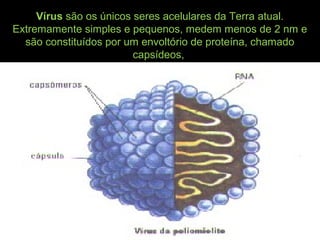 Vírus são os únicos seres acelulares da Terra atual.
Extremamente simples e pequenos, medem menos de 2 nm e
são constituídos por um envoltório de proteína, chamado
capsídeos,
 