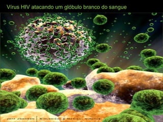 Vírus HIV atacando um glóbulo branco do sangue
 