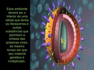 Esse ambiente
deverá ser o
interior de uma
célula que tenha
os ribossomos e
outras
substâncias que
permitam a
síntese das
proteínas virais,
ao mesmo
tempo em que
seu material
genético é
multiplicado.
 