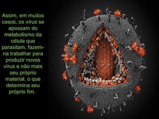Assim, em muitos
casos, os vírus se
apossam do
metabolismo da
célula que
parasitam, fazem-
na trabalhar para
produzir novos
vírus e não mais
seu próprio
material, o que
determina seu
próprio fim.
 