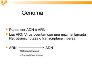 Retrotranscriptasa Inversa Virus | PPT