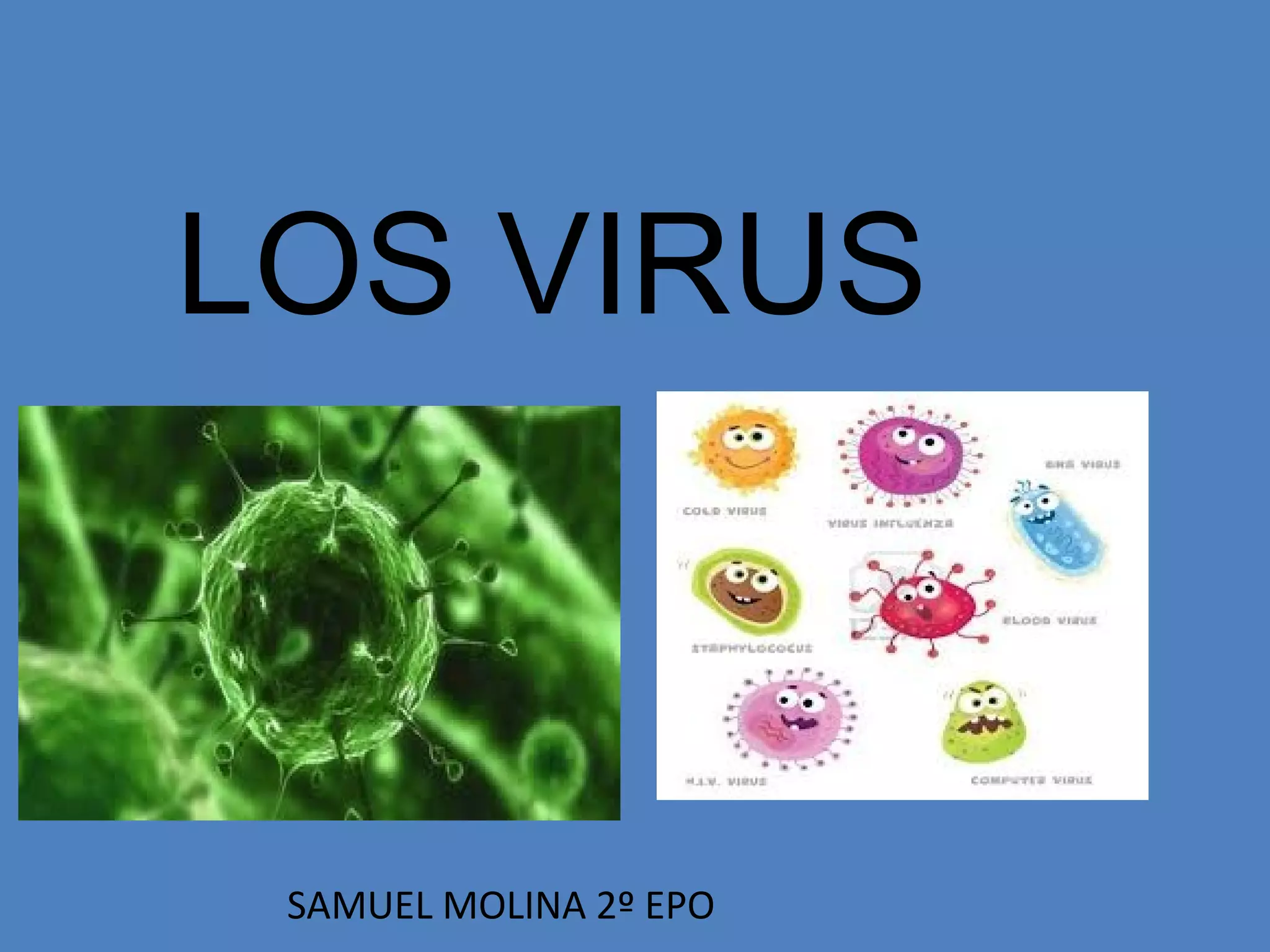 LOS VIRUS

SAMUEL MOLINA 2º EPO

 