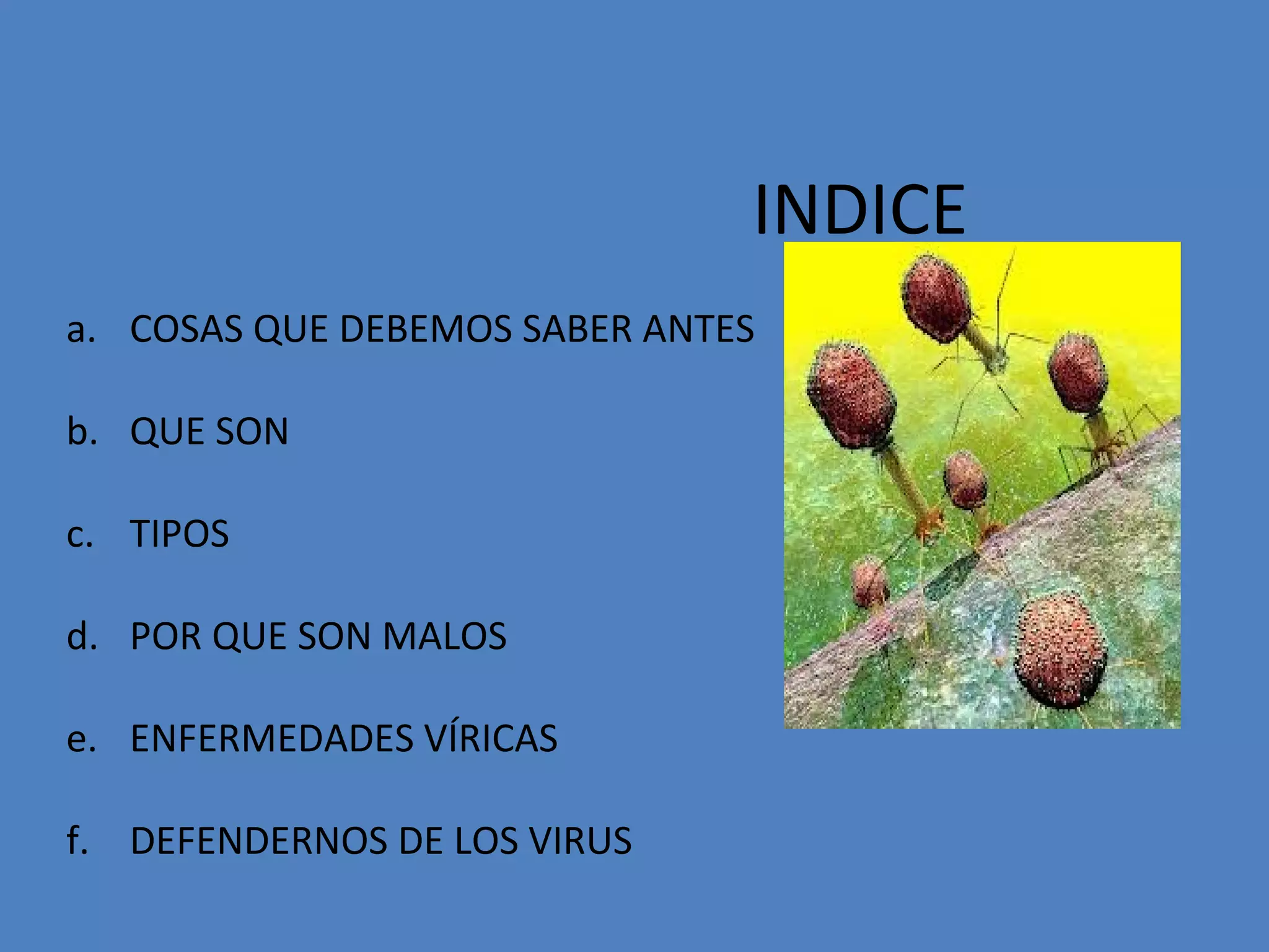 INDICE
a. COSAS QUE DEBEMOS SABER ANTES
b. QUE SON
c. TIPOS
d. POR QUE SON MALOS
e. ENFERMEDADES VÍRICAS
f. DEFENDERNOS DE LOS VIRUS

 