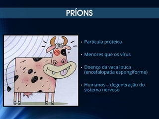 PRÍONS

•

Partícula proteíca

•

Menores que os vírus

•

Doença da vaca louca
(encefalopatia espongiforme)

•

Humanos – degeneração do
sistema nervoso

 