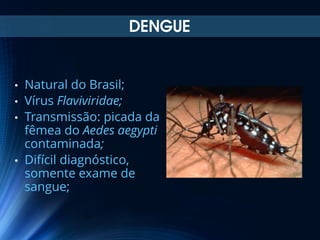 DENGUE

Natural do Brasil;
• Vírus Flaviviridae;
• Transmissão: picada da
fêmea do Aedes aegypti
contaminada;
• Difícil diagnóstico,
somente exame de
sangue;
•

 