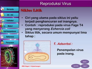 Sel Inang Virus | PPTX