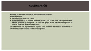 Aislados en 1953 de cultivos de tejido adenoidal humano.
Hay dos géneros:
• Aviadenovirus: infectan a aves.
• Mastoadenovirus: se dividen en siete grupos (A a G) en base a sus propiedades
físicas, químicas y biológicas. Los virus del grupo A son los más oncogénicos in
vivo en animales de experimentación.
Los adenovirus son específicos de especie y los humanos no infectan a animales de
laboratorio (inconveniente para la investigación).
CLASIFICACIÓN.
 