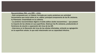 Neuraminidasa (NA): uno 200 / virión.
- Está compuesta por: a) Cabeza: formada por cuatro proteínas con actividad
fermentativa que actúa sobre el ac. siálico, principal componente de los Rc celulares.
b) Filamento: ensamblado en la cubierta.
- La proteína neuraminidase digiere el ácido siálico (ácido neuramínico) – que poseen
la mayoría de las células en sus superficies. Destruye los Rc celulares, produciendo el
fenómeno de elución o separación del virus de los GR.
- Interviene en la liberación del virus de las células infectadas, evitando su agregación
en la superficie celular, lo que está relacionado con su capacidad infectiva.
 