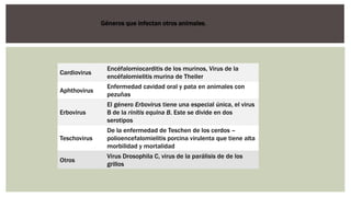 Géneros que infectan otros animales.
Cardiovirus
Encéfalomiocarditis de los murinos, Virus de la
encéfalomielitis murina de Theiler
Aphthovirus
Enfermedad cavidad oral y pata en animales con
pezuñas
Erbovirus
El género Erbovirus tiene una especial única, el virus
B de la rinitis equina B. Este se divide en dos
serotipos
Teschovirus
De la enfermedad de Teschen de los cerdos –
polioencefalomielitis porcina virulenta que tiene alta
morbilidad y mortalidad
Otros
Virus Drosophila C, virus de la parálisis de de los
grillos
 