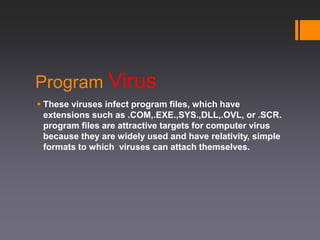 Virus | PPTX