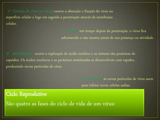 Ciclo Reprodutivo
São quatro as fases do ciclo de vida de um vírus:
1º Entrada do vírus na célula: ocorre a absorção e fixação do vírus na
superfície celular e logo em seguida a penetração através da membrana
celular.
2º Eclipse: um tempo depois da penetração, o vírus fica
adormecido e não mostra sinais de sua presença ou atividade.
3º Multiplicação: ocorre a replicação do ácido nucléico e as sínteses das proteínas do
capsídeo. Os ácidos nucleicos e as proteínas sintetizadas se desenvolvem com rapidez,
produzindo novas partículas de vírus
4º Liberação: as novas partículas de vírus saem
para infetar novas células sadias.
 