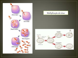 Multiplicação do vírus
 