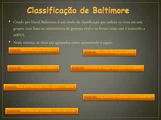 • Criado por David Baltimore, é um modo de classificação que ordena os vírus em sete
grupos, com base na característica do genoma viral e na forma como este é transcrito a
mRNA.
• Neste sistema, os vírus são agrupados como apresentado a seguir:
Grupo I: Vírus DNA dupla fita (dsDNA)
Grupo II: Vírus DNA fita simples (ssDNA)
Grupo III: Vírus RNA dupla fita (dsRNA) Grupo IV: Vírus RNA fita simples senso positivo ((+)ssRNA)
Grupo V: Vírus RNA fita simples senso negativo ((-)ssRNA)
Grupo VI: Vírus RNA com transcrição reversa (ssRNA-RT)
Grupo VII: Vírus DNA com transcrição reversa (dsDNA-RT
 
