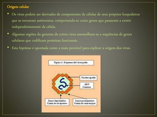Origem celular
• Os vírus podem ser derivados de componentes de células de seus próprios hospedeiros
que se tornaram autónomos, comportando-se como genes que passaram a existir
independentemente da célula.
• Algumas regiões do genoma de certos vírus assemelham-se a sequências de genes
celulares que codificam proteínas funcionais.
• Esta hipótese é apontada como a mais provável para explicar a origem dos vírus.
 