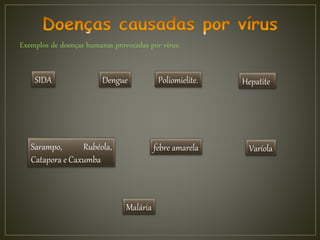 Exemplos de doenças humanas provocadas por vírus:
Hepatite
Sarampo, Rubéola,
Catapora e Caxumba
Dengue Poliomielite.
febre amarela Varíola
SIDA
Malária
 