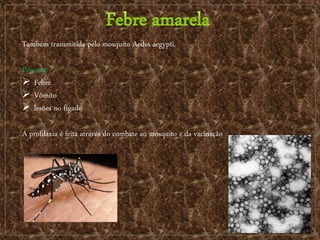 Também transmitida pelo mosquito Aedes aegypti.
Provoca:
 Febre
 Vômito
 lesões no fígado
A profilaxia é feita através do combate ao mosquito e da vacinação
 