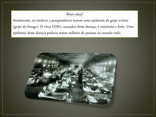 Risco atual
Atualmente, os médicos e pesquisadores temem uma epidemia da gripe aviária
(gripe do frango). O vírus H5N1, causador desta doença, é resistente e forte. Uma
epidemia desta doença poderia matar milhões de pessoas no mundo todo.
 