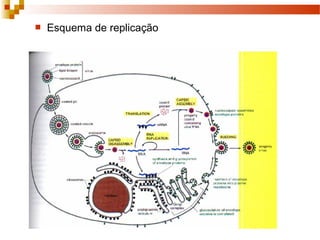  Esquema de replicação 
 
