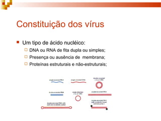 Constituição dos vírus 
 Um tipo de ácido nucléico: 
 DNA ou RNA de fita dupla ou simples; 
 Presença ou ausência de membrana; 
 Proteínas estruturais e não-estruturais; 
 