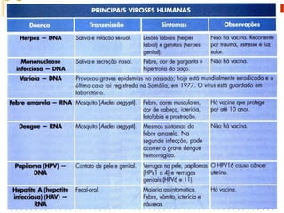 Virus, AULA DE VIRUS