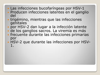  Las infecciones bucofaríngeas por HSV-1 
 Producen infecciones latentes en el ganglio 
del 
 trigémino, mientras que las infecciones 
genitales 
 por HSV-2 dan lugar a la infección latente 
 de los ganglios sacros. La viremia es más 
 frecuente durante las infecciones primarias 
por 
 HSV-2 que durante las infecciones por HSV- 
1. 
 