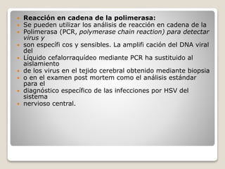  Reacción en cadena de la polimerasa: 
 Se pueden utilizar los análisis de reacción en cadena de la 
 Polimerasa (PCR, polymerase chain reaction) para detectar 
virus y 
 son específi cos y sensibles. La amplifi cación del DNA viral 
del 
 Líquido cefalorraquídeo mediante PCR ha sustituido al 
aislamiento 
 de los virus en el tejido cerebral obtenido mediante biopsia 
 o en el examen post mortem como el análisis estándar 
para el 
 diagnóstico específico de las infecciones por HSV del 
sistema 
 nervioso central. 
 