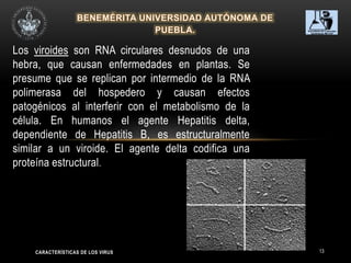 13
Los viroides son RNA circulares desnudos de una
hebra, que causan enfermedades en plantas. Se
presume que se replican por intermedio de la RNA
polimerasa del hospedero y causan efectos
patogénicos al interferir con el metabolismo de la
célula. En humanos el agente Hepatitis delta,
dependiente de Hepatitis B, es estructuralmente
similar a un viroide. El agente delta codifica una
proteína estructural.
CARACTERÍSTICAS DE LOS VIRUS
 