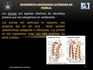 14
Los priones son agentes infectivos de naturaleza
proteica que son patogénicos en vertebrados.
Los priones son partículas no celulares, son
proteínas que sin ser virus , tienen también
características patógenas e infecciosas. Los priones
no son organismos vivos, son solo proteínas sin
ácido nucleico.
CARACTERÍSTICAS DE LOS VIRUS
 
