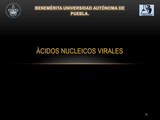 21
ÁCIDOS NUCLEICOS VIRALES
 