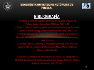 29
1. Carballal G. Virología: aspectos generales. En: Carballal G,Oubiña JR.
Virología Médica. Buenos Aires: El Ateneo, 1991; 1- 23.
2. Collier L, Oxford J. General properties and classification of viruses. En: Collier
L, Oxford J. Human Virology. Oxford: Oxford University Press, 2000; 7- 16.
3. Fields B. Biología de los virus. En: Schaechter M, Medoff G, Eisenstein B,
Guerra H. Microbiología, 2ª ed. Buenos Aires: Editorial Médica Panamericana,
1994.; 415- 436.
4. Jawetz E, Melnick J, Adelberg E. Propiedades generales de los virus. En:
Jawetz E, Melnick J, Adelberg E. Microbiología Médica. México: El Manual
Moderno, 1992; 397- 420.
5. Meissner C, Schaechter M. Introduction to the viruses. En: Schaechtter M,
Medoff G, Schlessinger D. Mechanisms of microbial disease. Baltimore: Williams
& Wilkins International, 1989; 377- 392.
BIBLIOGRAFÍA
 