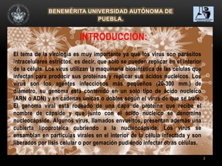3
El tema de la virología es muy importante ya que los virus son parásitos
intracelulares estrictos, es decir, que solo se pueden replicar en el interior
de la célula. Los virus utilizan la maquinaria biosintética de las células que
infectan para producir sus proteínas y replicar sus ácidos nucleicos. Los
virus son los agentes infecciosos más pequeños (20-300 mm.) de
diámetro, su genoma está contenido en un solo tipo de ácido nucleico
(ARN o ADN) y en cadenas únicas o dobles según el virus de que se trate.
El genoma viral está rodeado de una capa de proteína que recibe el
nombre de cápside y que junto con el ácido nucleico se denomina
nucleocápside. Algunos virus, llamados envueltos, presentan además una
cubierta lipoproteica cubriendo a la nucleocápside. Los virus se
ensamblan en partículas virales en el interior de la célula infectada y son
liberados por lisis celular o por gemación pudiendo infectar otras células.
INTRODUCCIÓN:
 