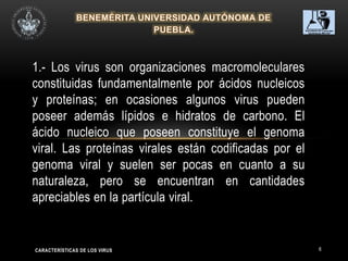 6
1.- Los virus son organizaciones macromoleculares
constituidas fundamentalmente por ácidos nucleicos
y proteínas; en ocasiones algunos virus pueden
poseer además lípidos e hidratos de carbono. El
ácido nucleico que poseen constituye el genoma
viral. Las proteínas virales están codificadas por el
genoma viral y suelen ser pocas en cuanto a su
naturaleza, pero se encuentran en cantidades
apreciables en la partícula viral.
CARACTERÍSTICAS DE LOS VIRUS
 