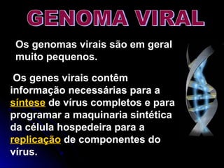Os genes virais contêm
informação necessárias para a
síntese de vírus completos e para
programar a maquinaria sintética
da célula hospedeira para a
replicação de componentes do
vírus.
Os genomas virais são em geral
muito pequenos.
 