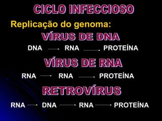 Replicação do genoma:
DNA RNA PROTEÍNA
RNA RNA PROTEÍNA
RNA DNA RNA PROTEÍNA
 