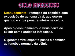 Desnudamento: remoção do capsídio com
exposição do genoma viral, que ocorre
quando o vírus penetra inteiro na célula.
Após o desnudamento, o vírus deixa de
existir como entidade infecciosa.
O genoma viral exposto passa a dominar
as funções normais da célula.
 