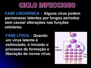 FASE LISOGÊNICA - Alguns vírus podem
permanecer latentes por longos períodos
sem causar alterações nas funções
celulares.
FASE LÍTICA - Quando
um vírus latente é
estimulado, é iniciado o
processo de formação e
liberação de novos vírus.
 