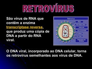 São vírus de RNA que
contêm a enzima
transcriptase reversa,
que produz uma cópia de
DNA a partir do RNA
viral.
O DNA viral, incorporado ao DNA celular, torna
os retrovírus semelhantes aos vírus de DNA.
 