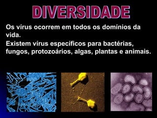 Os vírus ocorrem em todos os domínios da
vida.
Existem vírus específicos para bactérias,
fungos, protozoários, algas, plantas e animais.
 