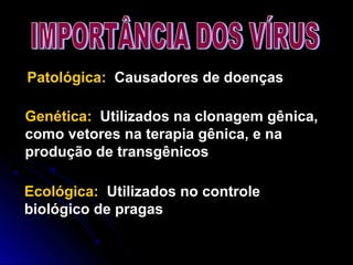 Patológica: Causadores de doenças
Ecológica: Utilizados no controle
biológico de pragas
Genética: Utilizados na clonagem gênica,
como vetores na terapia gênica, e na
produção de transgênicos
 