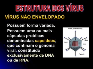 Possuem forma variada.
Possuem uma ou mais
cápsulas protéicas
denominadas capsídeos,
que confinam o genoma
viral, constituído
exclusivamente de DNA
ou de RNA.
VÍRUS NÃO ENVELOPADO
 