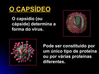 O capsídio (ou
cápside) determina a
forma do vírus.
Pode ser constituído por
um único tipo de proteína
ou por várias proteínas
diferentes.
O CAPSÍDEO
 