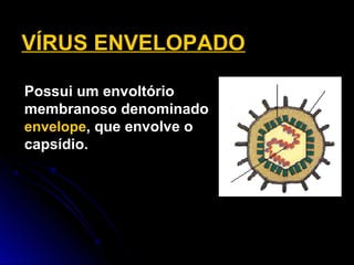 Possui um envoltório
membranoso denominado
envelope, que envolve o
capsídio.
VÍRUS ENVELOPADO
DNA
capsídeo envelope
 