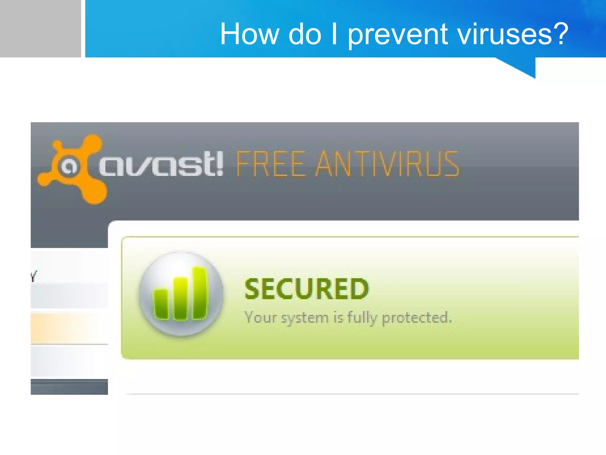 How do I prevent viruses?
 