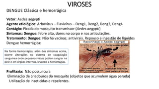 DENGUE Clássica e hemorrágica
VIROSES
Vetor: Aedes aegypti
Agente etiológico: Arbovírus – Flavivírus – Deng1, Deng2, Deng3, Deng4
Contágio: Picada do mosquito transmissor (Aedes aegypti)
Sintomas: Dengue: febre alta, dores no corpo e nas articulações.
Tratamento: Dengue: Não há vacinas; antivirais. Repouso e ingestão de líquidos
Dengue hemorrágica:
Profilaxia: Não possui cura
Eliminação de criadouros do mosquito (objetos que acumulem água parada)
Utilização de inseticidas e repelentes.
Na forma hemorrágica, além dos sintomas acima,
ocorre alterações no sistema de coagulação
sanguínea onde pequenos vasos podem sangrar na
pele e em órgãos internos, levando a hemorragias.
 