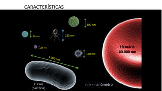 225 nm
300 nm
90 nm
150 nm
Hemácia
10.000 nm
E. Coli
(bactéria)
24 nm
nm = nanômetro
CARACTERÍSTICAS
 